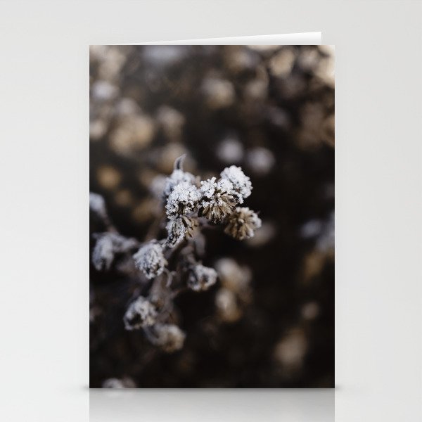 Detail of a frozen thistle in winter Stationery Cards