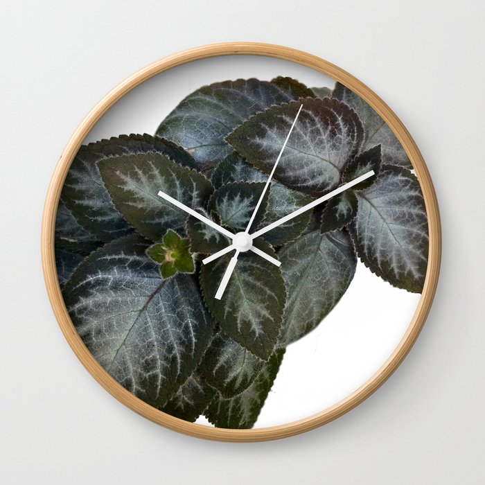 Gesneriad Wall Clock