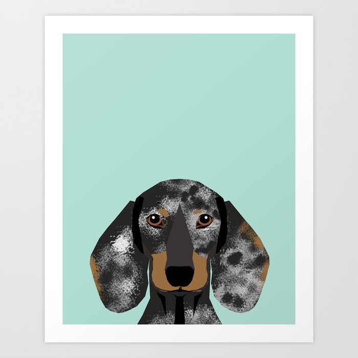 Doxie Dachshund merle dapple dog cute must have dog accessories dog gifts cute doxies dachshunds des Art Print