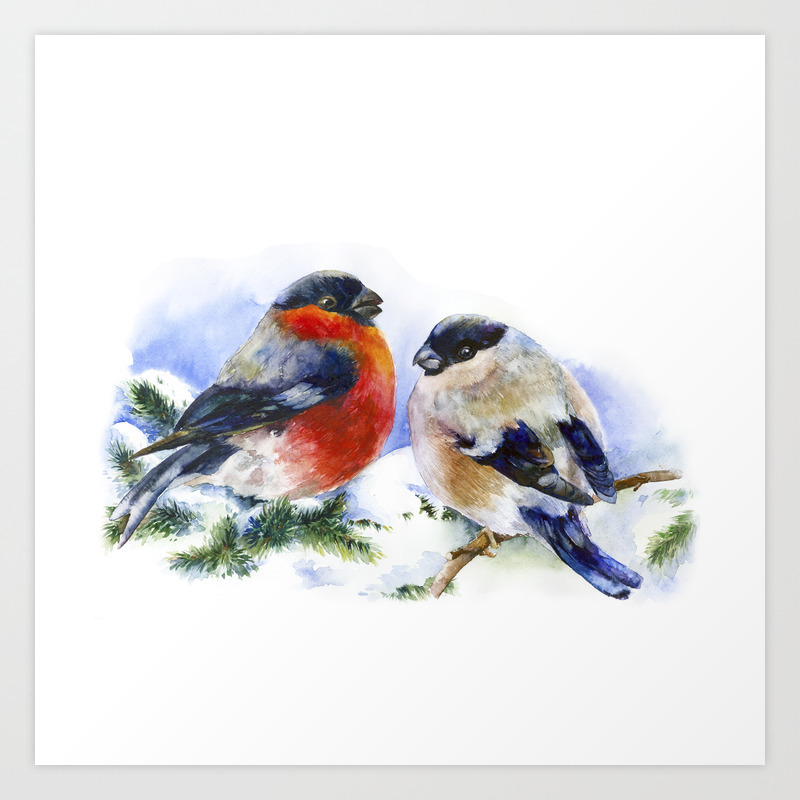 Bullfinches in winter time. Christmas Watercolor Art Art Print by maryami |  Society6