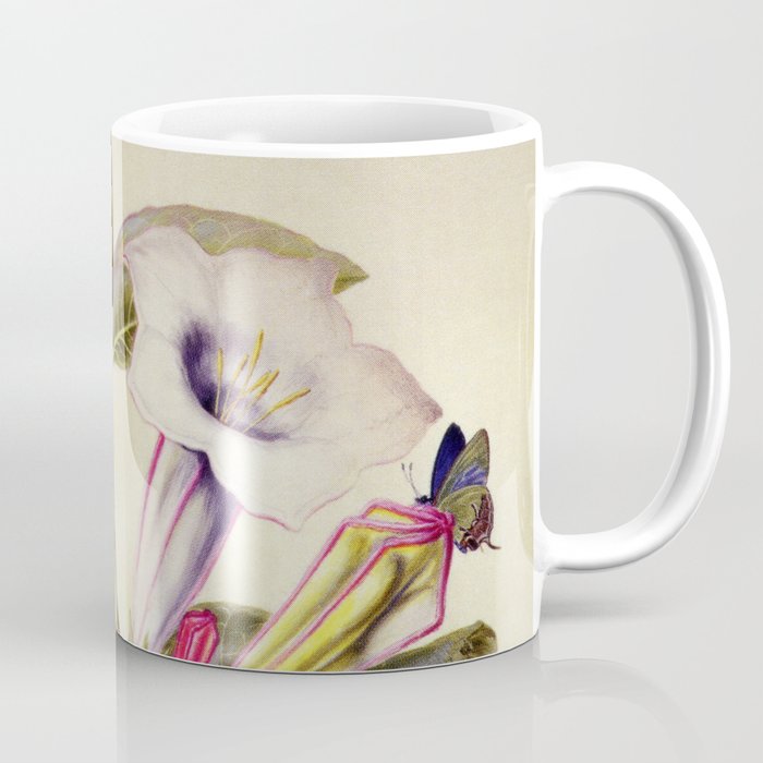  Sacred datura and blue butterfly Coffee Mug