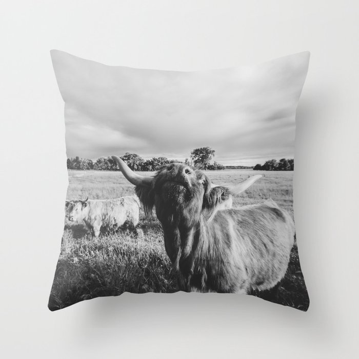 Black and White Highland Cow - Moo Throw Pillow