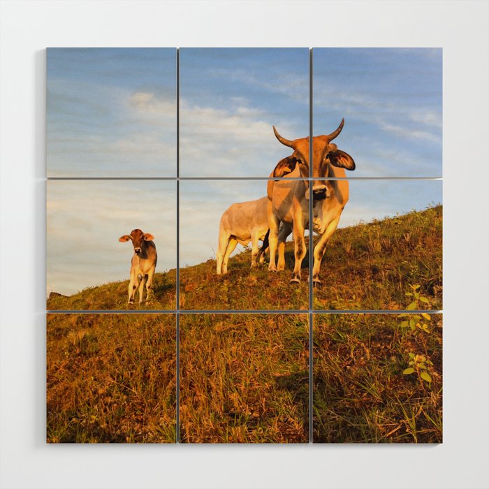 Mama and Baby Cows Stare Wood Wall Art