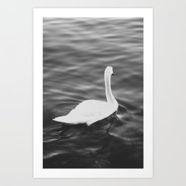 the swan. Art Print