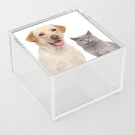 Dog and Cat Acrylic Box