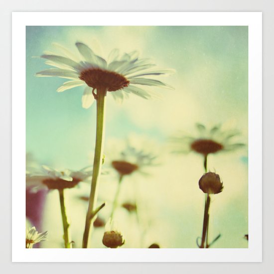 daisy days Art Print