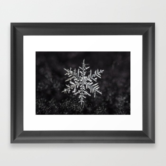 January Snowfake #5 Framed Art Print