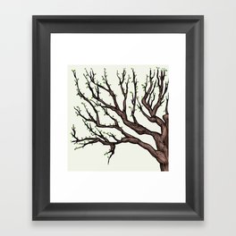Spring Tree Framed Art Print