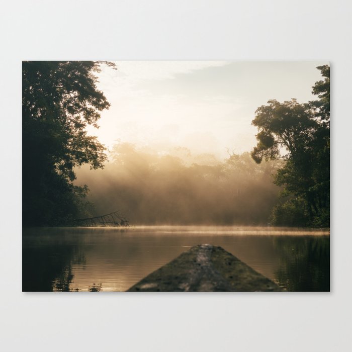 Amazonas view Canvas Print