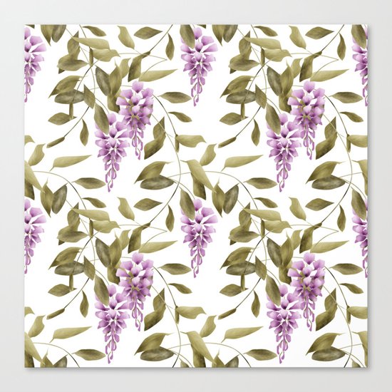 The Branches Of Wisteria . White background . Canvas Print
