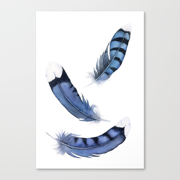 Falling Feather, Blue Jay Feather, Blue Feather watercolor painting by Suisai Genki Canvas Print