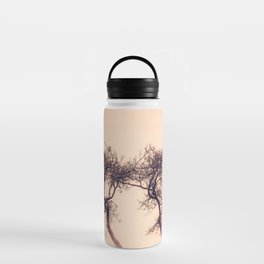 Pink Mist Water Bottle