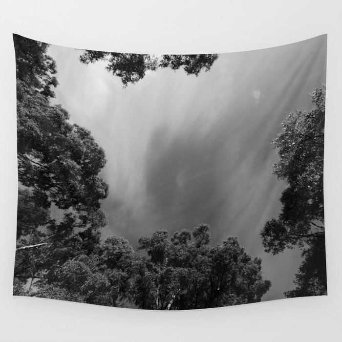  Scottish Highlands  Spring Birch Tree Canopy in Black and White Wall Tapestry