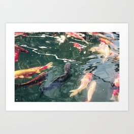 Crimson Pond Art Print
