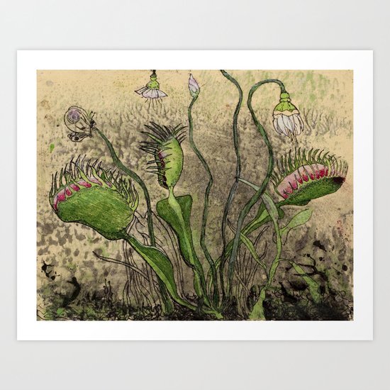 Venus Flytrap Art Print