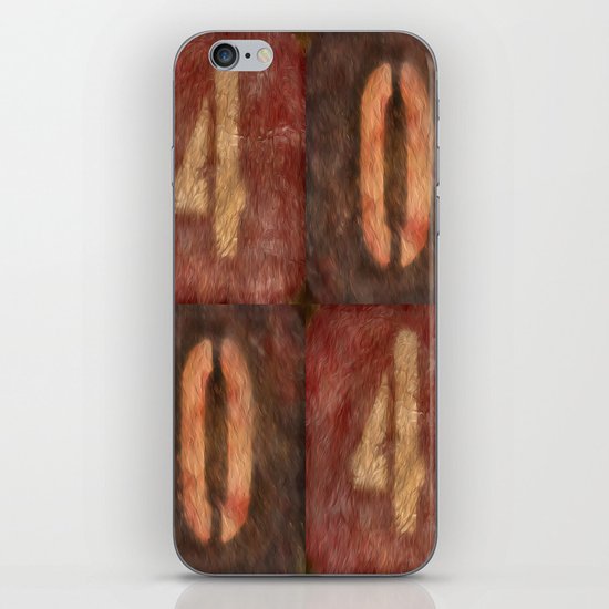 4004 iPhone & iPod Skin