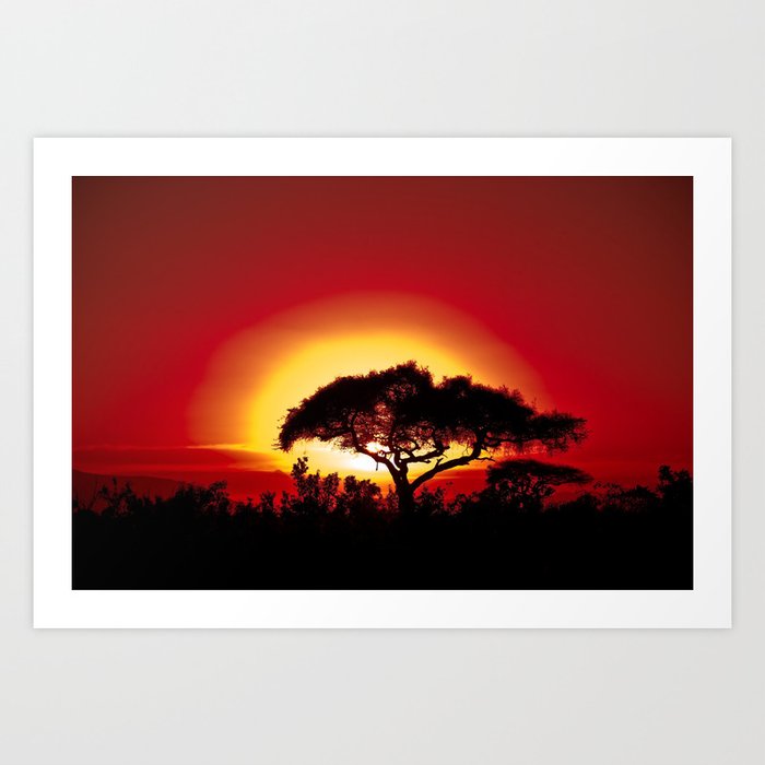 Blood Red Sunrise African Serengeti color photography / photographs Art Print