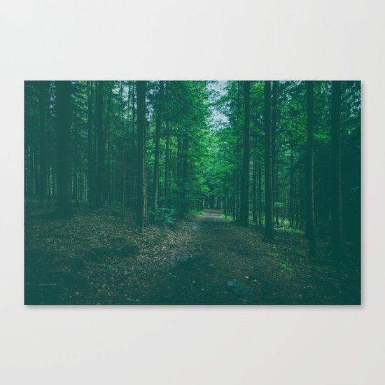 Walk With Me Canvas Print