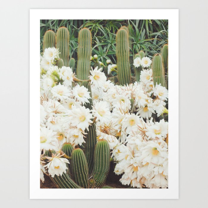 Cactus and Flowers Art Print