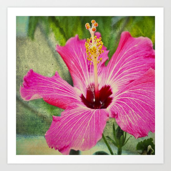 Flower Art Print