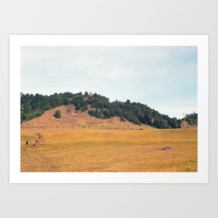 Northern California Fields | 35mm Film Photography Art Print