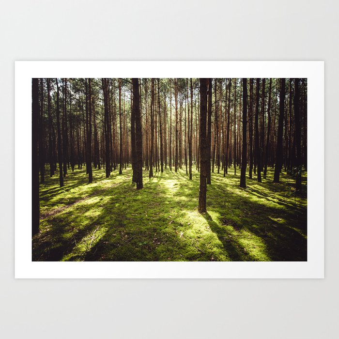 FOREST - Landscape and Nature Photography Art Print