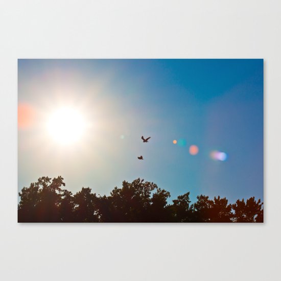 Freedom - Photo Canvas Print