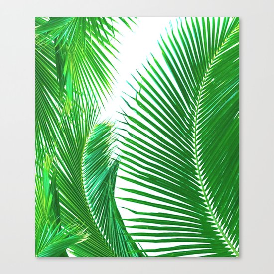ARECALES II Canvas Print