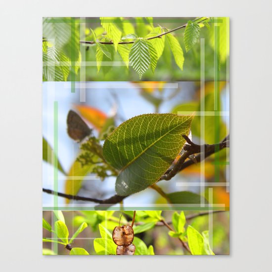 The Leaf And The Distant Butterfly Canvas Print