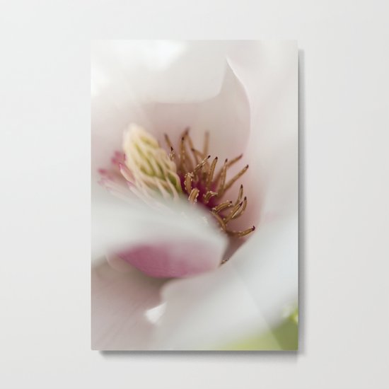Macro Of A Tulip Tree Blossom Metal Print