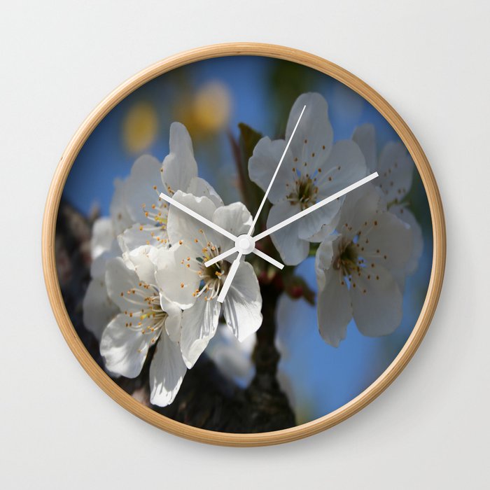 Close Up Of White Cherry Blossom Flowers Wall Clock