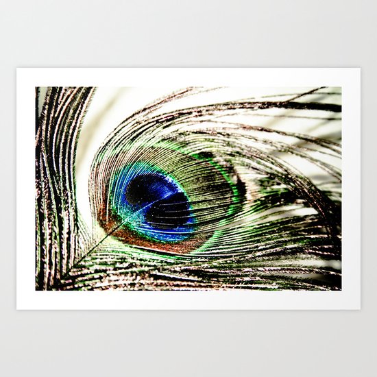 Peacock Art Print
