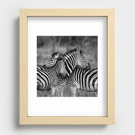 South Africa Photography - Two Zebras Hugging In Black And White Recessed Framed Print