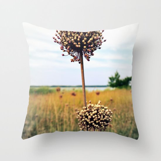 Yorktown "Onion" Throw Pillow