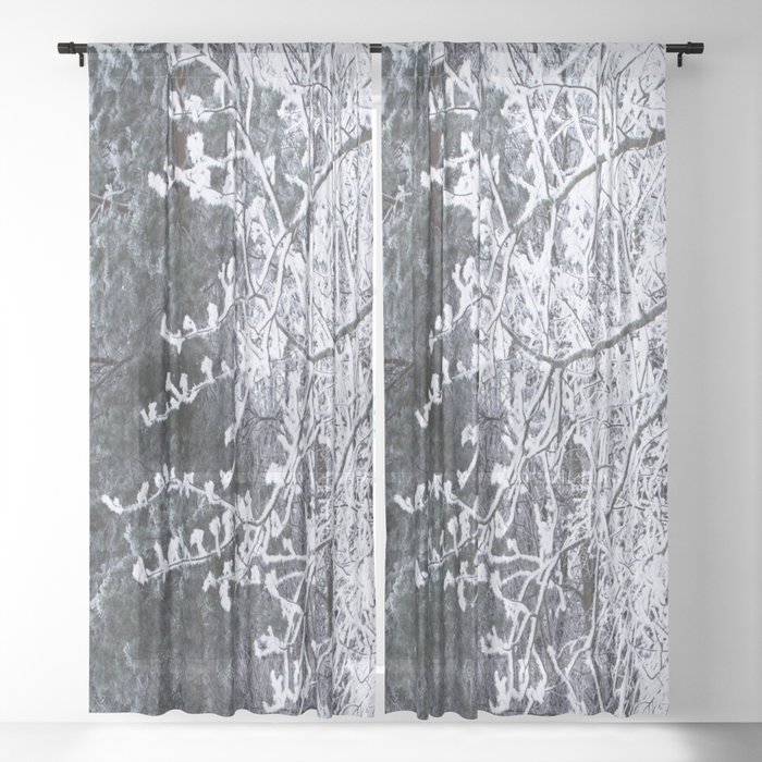 Snowy Tree Branches Winter Scene Decor, Tree Branch Curtains