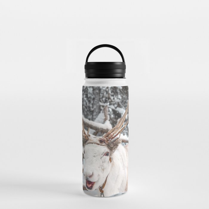 Smiling Reindeer | Rudolf from Lapland Finland  Water Bottle