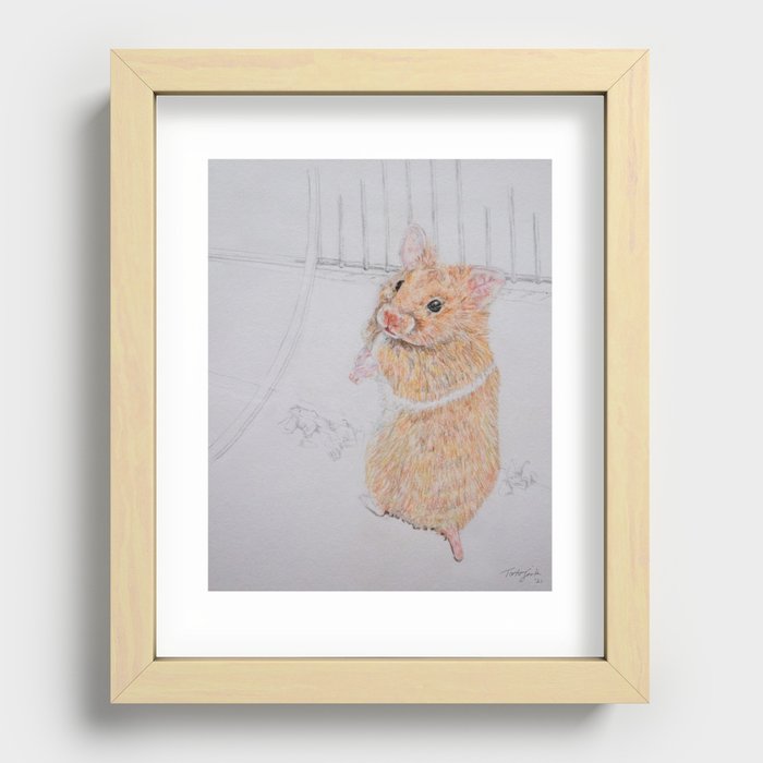 Biscuit the hamster Recessed Framed Print