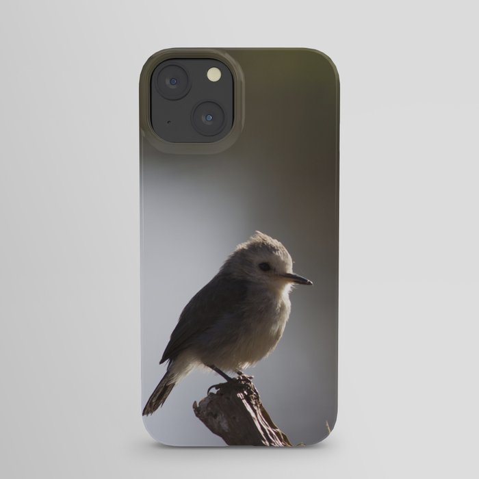 Birds from Pantanal chibum iPhone Case