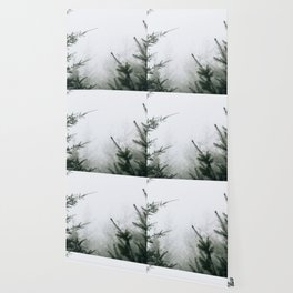 Misty Pine Trees Wallpaper