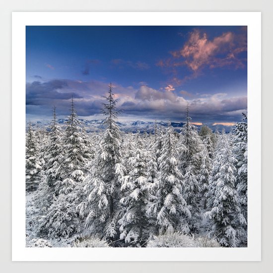 "Mountain Light III" Snowy Forest At Sunset Art Print