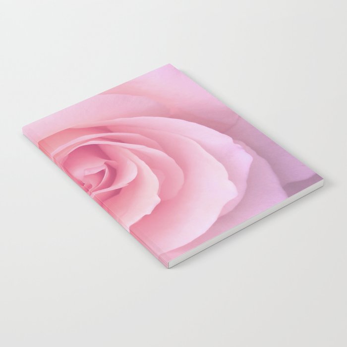 Flower | Pink Rose |  Photography | Nature | Spring | Summer Notebook