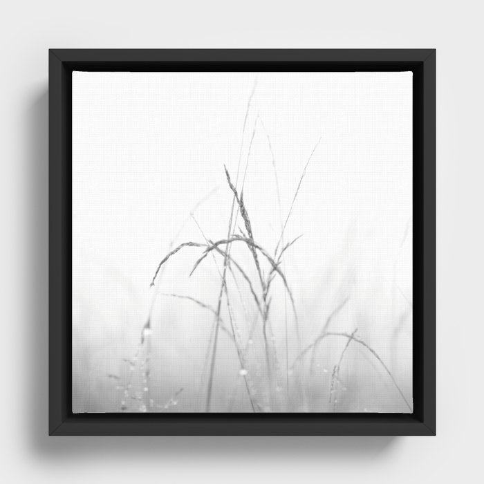 Long Grass Framed Canvas