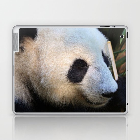 Panda Nap Laptop & iPad Skin