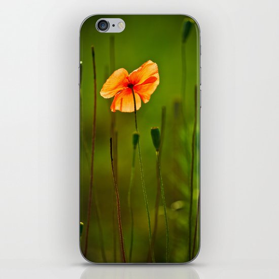 poppy iPhone & iPod Skin
