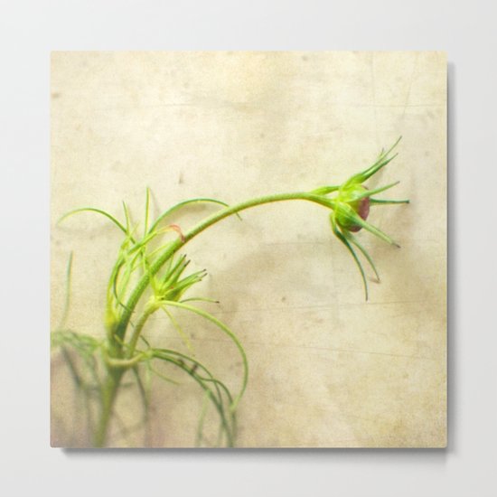 Kind of Shy Metal Print