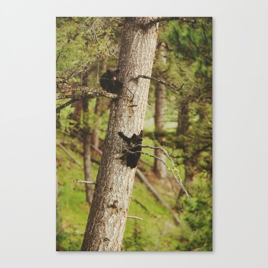 Climbing Cubs Canvas Print