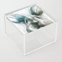 Agile Rabbit Bunnies Easter Day Acrylic Box