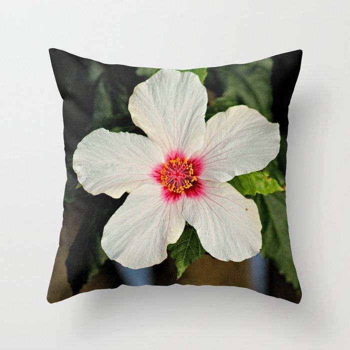 Pink Hibiscus Flower Closeup Macro Throw Pillow