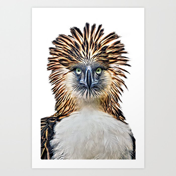 Philippine Eagle Art Print