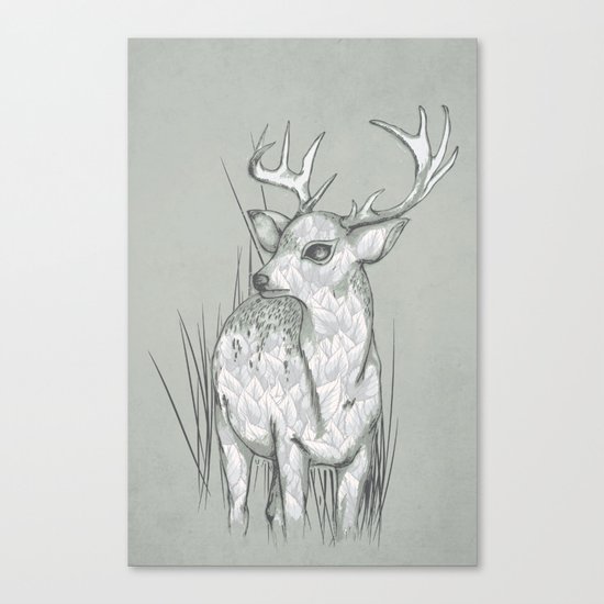 White-Tailed Canvas Print